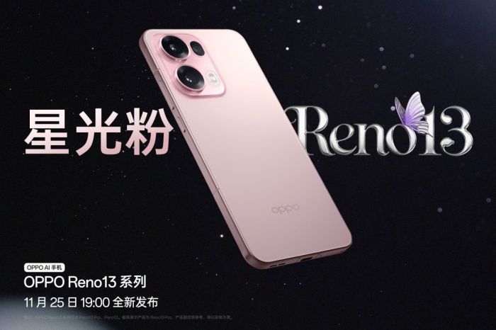 OPPO Reno13 F