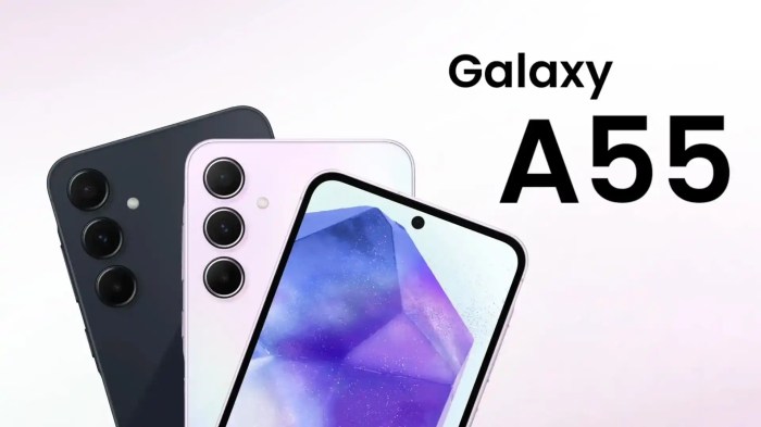 Samsung Galaxy A55 5G: Leaked Official Renders and Processor Unveiled ... Samsung galaxy a55 warna apa saja