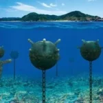 Geopolitik Ranjau Laut: Mengurai Kepentingan Iran di Selat Hormuz yang Krusial