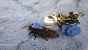 Home 16 featured-image