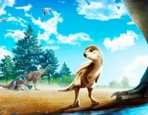 Home 16 featured-image