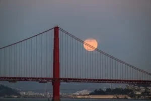 Home 16 featured-image