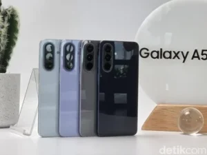 Home 16 featured-image