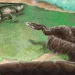 Menguak Fakta: Siapa Raja Ular Berbisa Terbesar di Bumi? 7 Menguak Fakta: Siapa Raja Ular Berbisa Terbesar di Bumi?