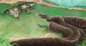 Home 12 featured-image