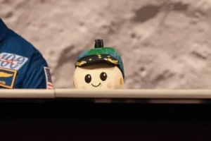 Home 12 featured-image